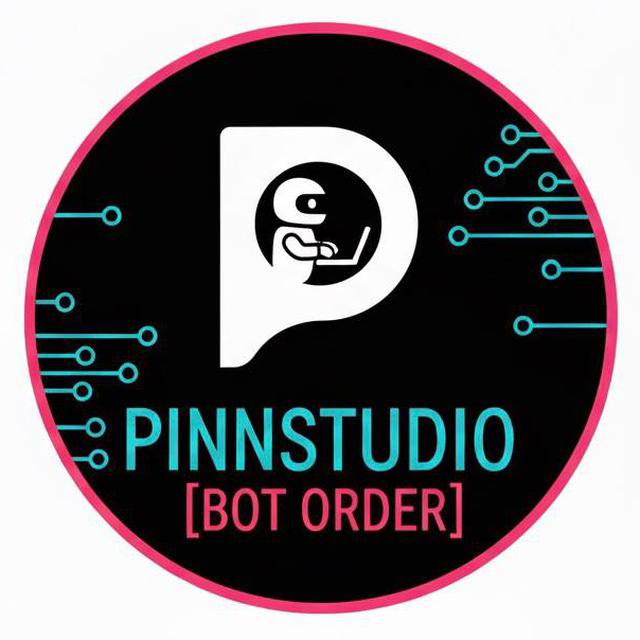 PINN STORE Logo